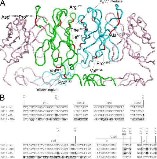 FIGURE 1.