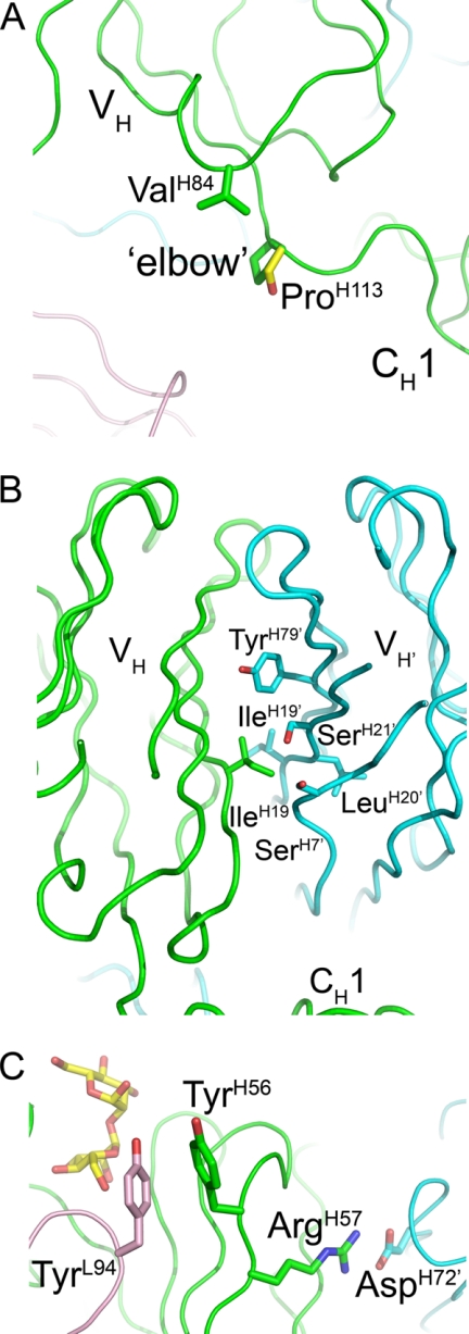 FIGURE 4.