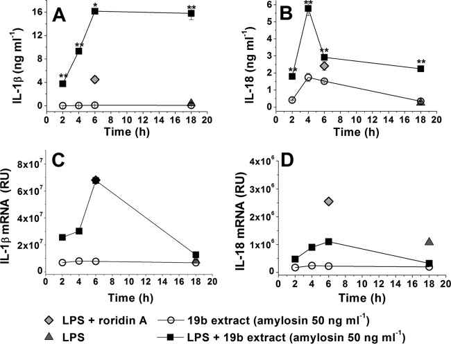 FIG 2