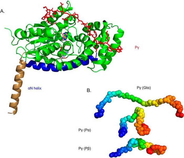 Figure 2.