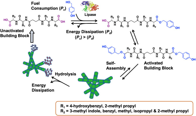 Figure 20