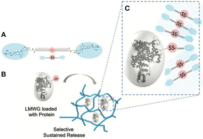 Figure 19