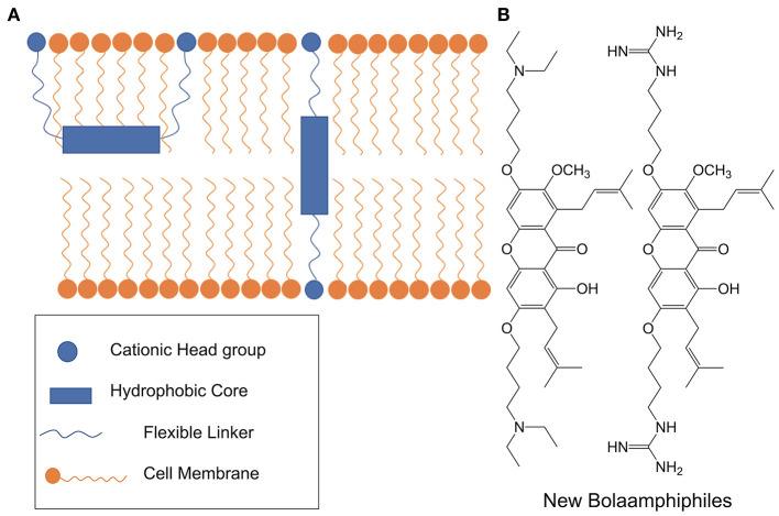 Figure 15