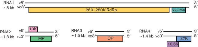 Fig. 2.