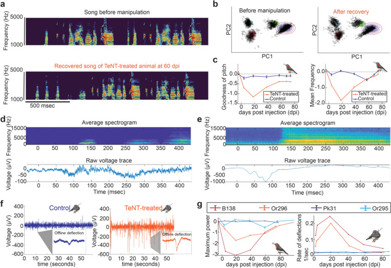 Figure 2: