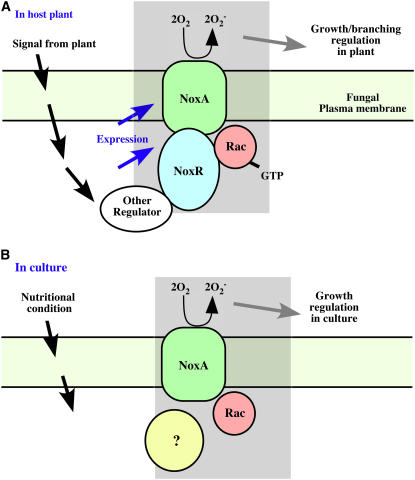 Figure 9.