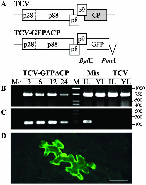 FIG. 1.