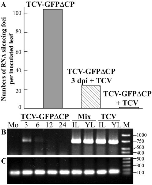 FIG. 3.