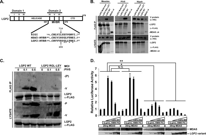 FIG 1