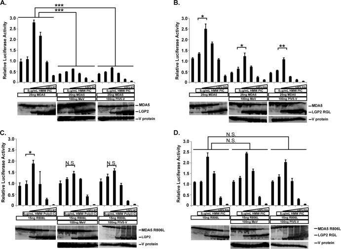 FIG 2