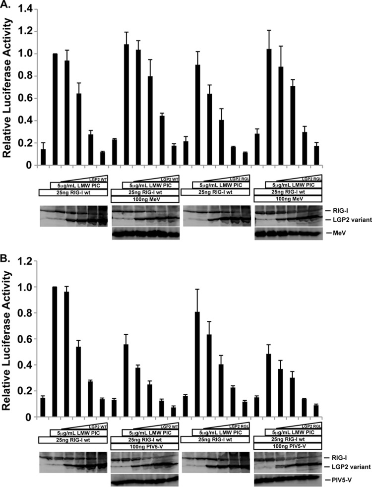 FIG 3