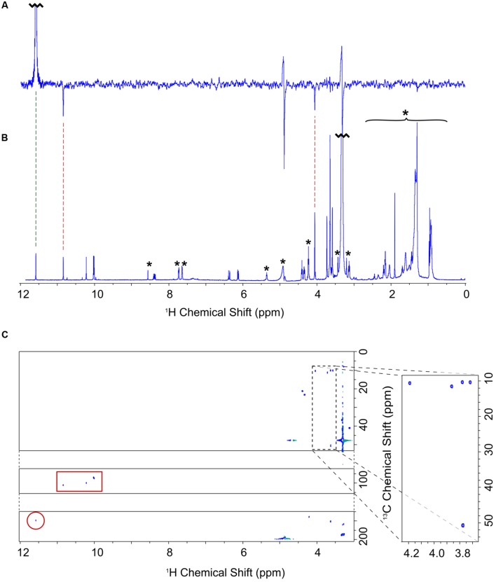 FIGURE 3