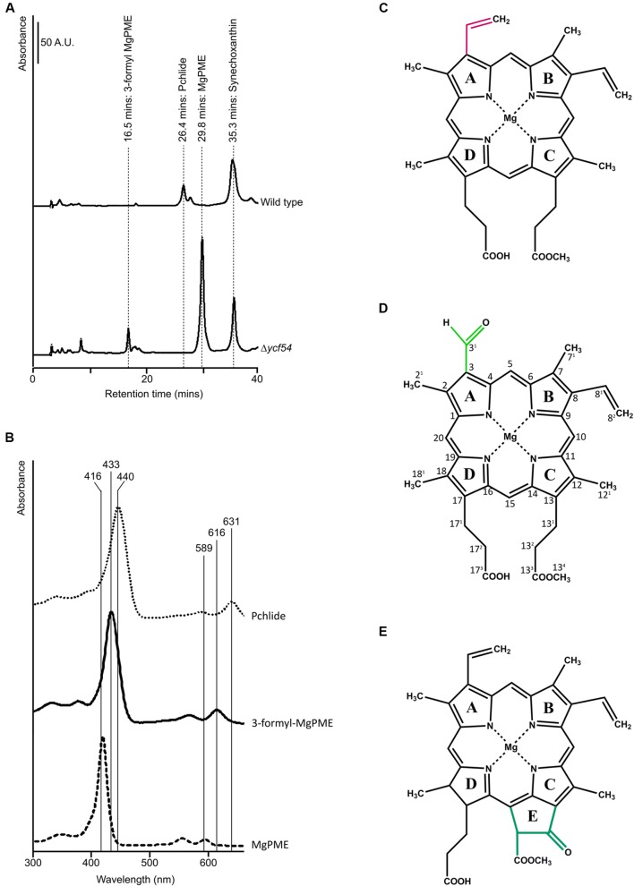 FIGURE 2