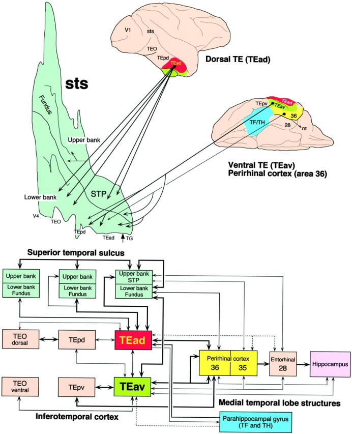 Fig. 16.