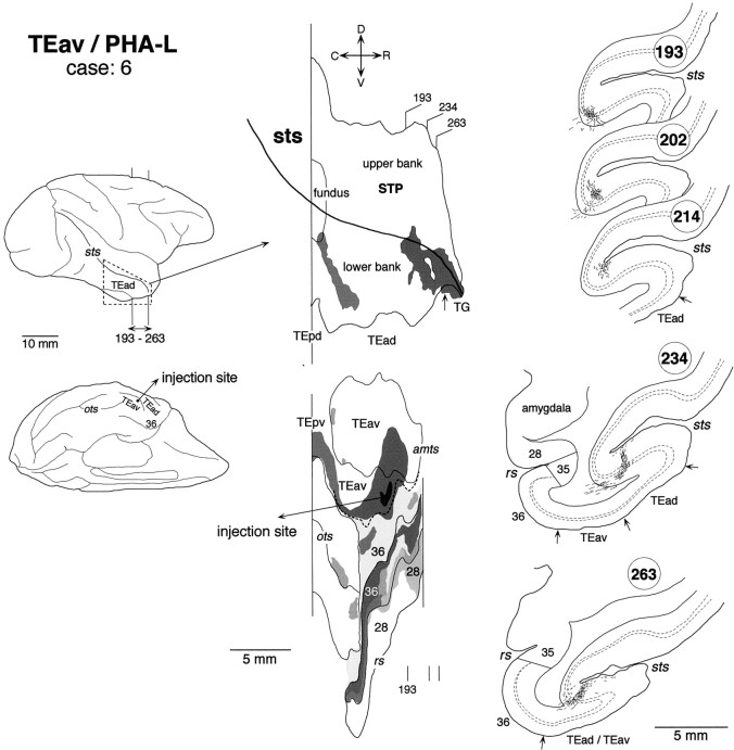 Fig. 10.