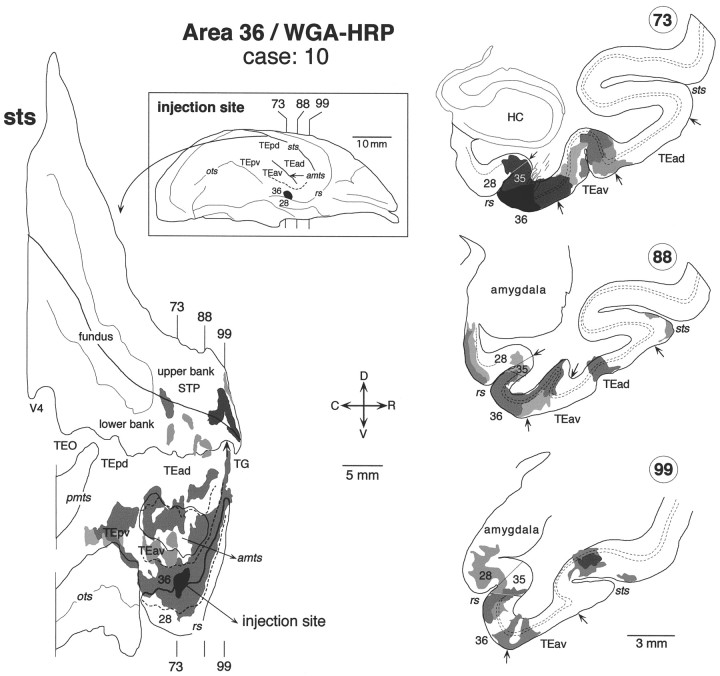 Fig. 14.