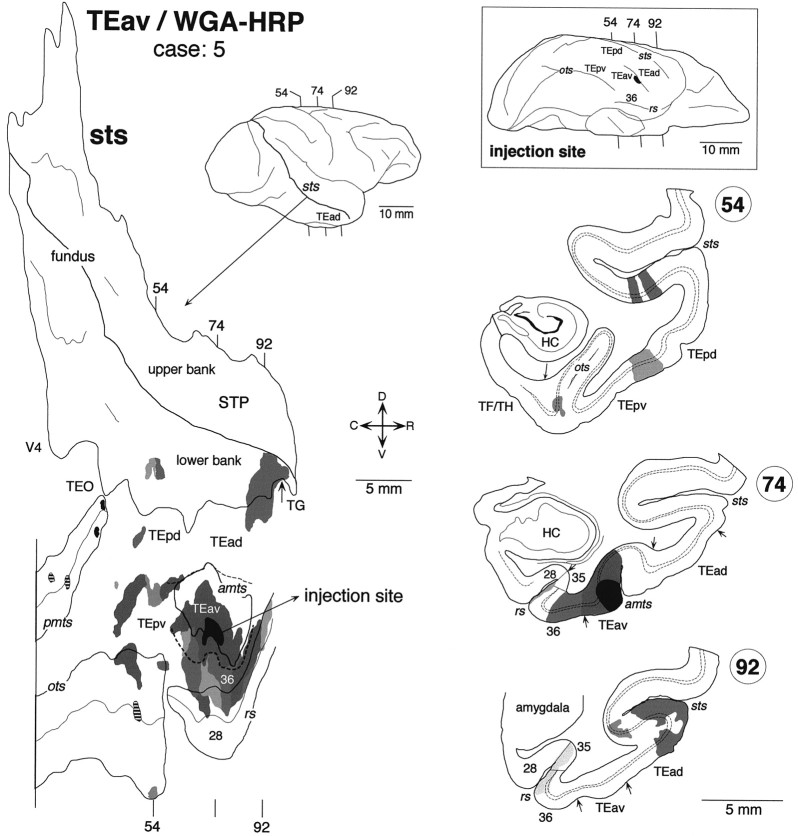 Fig. 9.