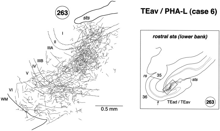 Fig. 12.