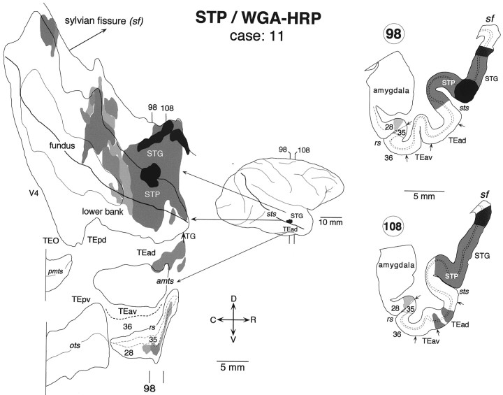 Fig. 15.