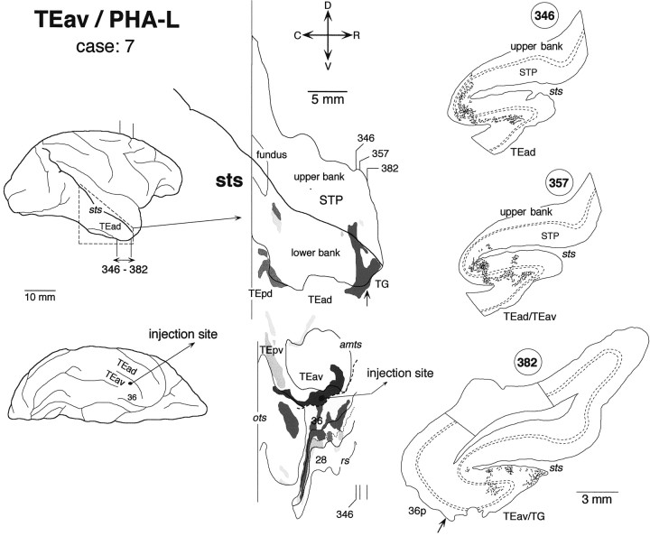 Fig. 11.