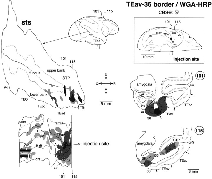 Fig. 13.