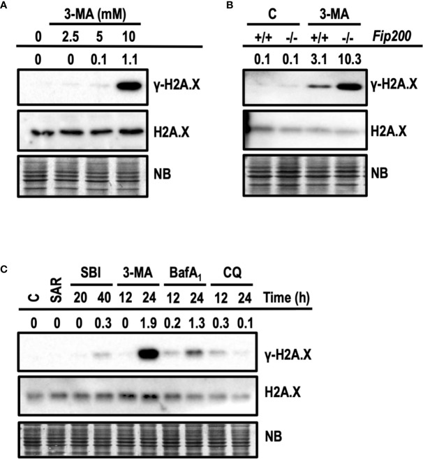 Figure 9