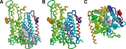 Figure 1.