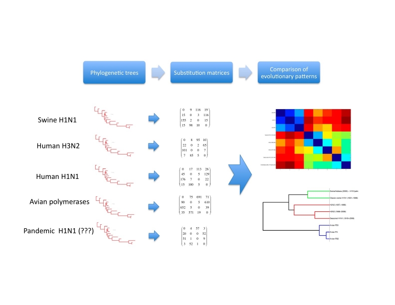 graphic file with name figure1.jpg