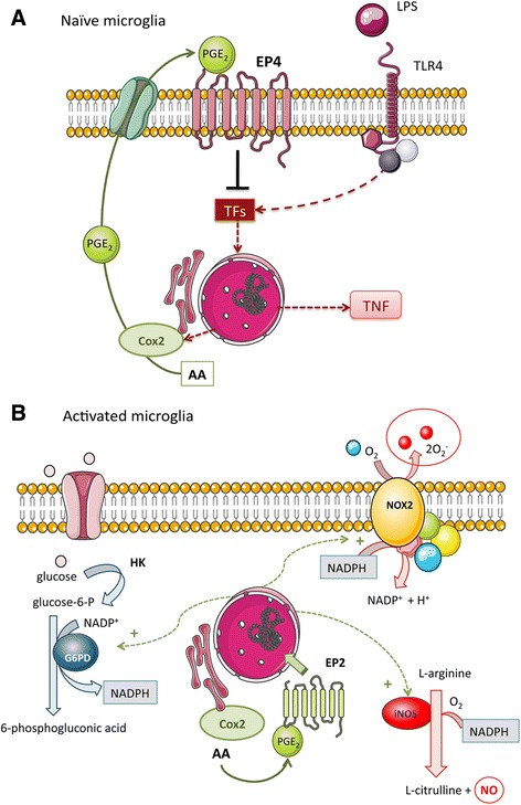 Fig. 7