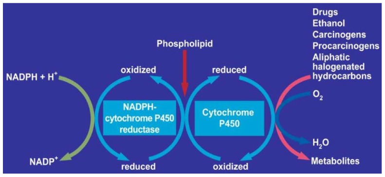 Figure 17