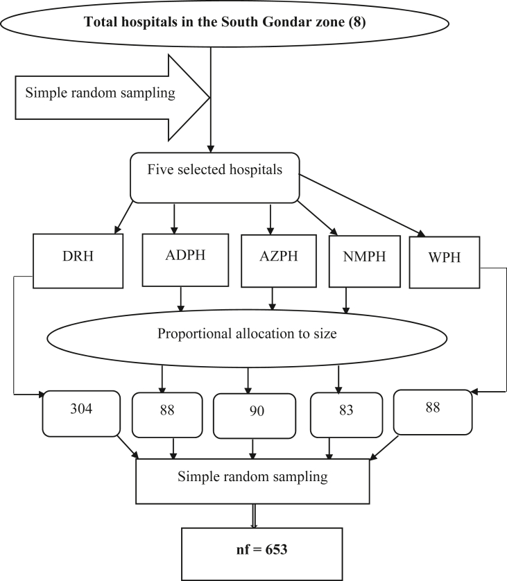 Figure 1