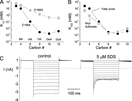 Figure 11.