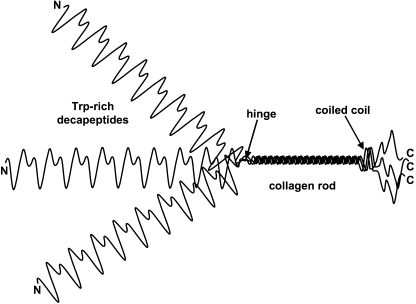 FIGURE 9.