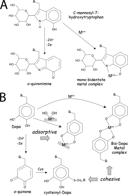 FIGURE 10.