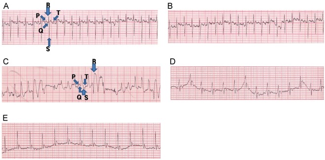 Fig. 2.