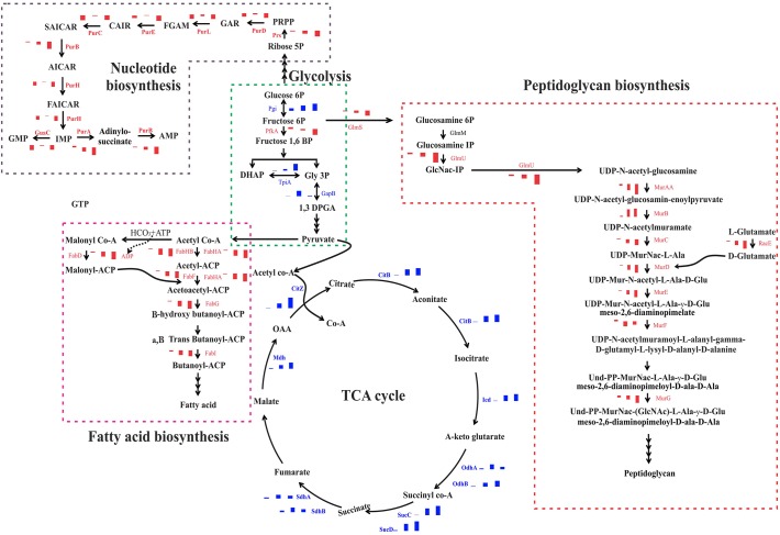 Fig 6