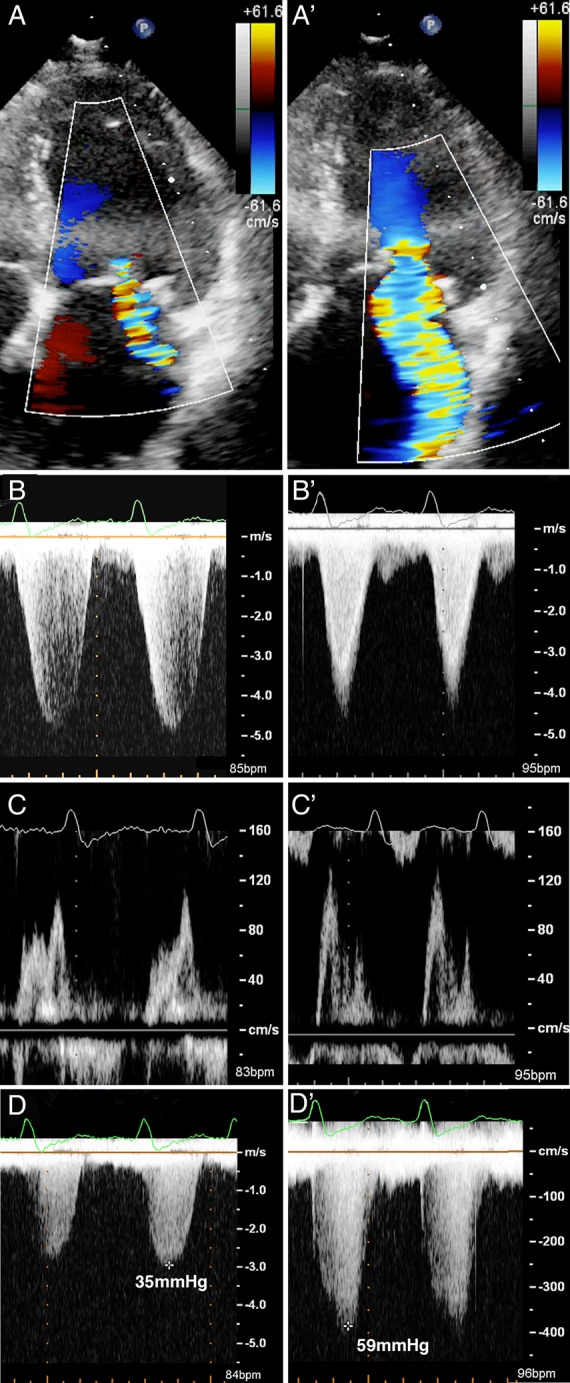 Figure 2