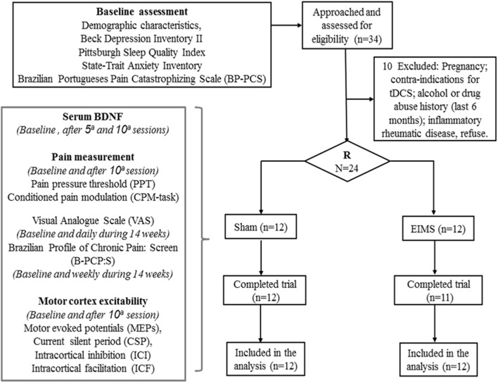 FIGURE 1