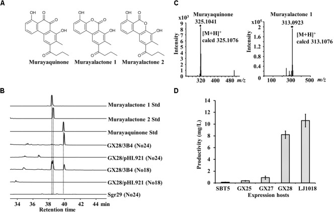 FIGURE 3