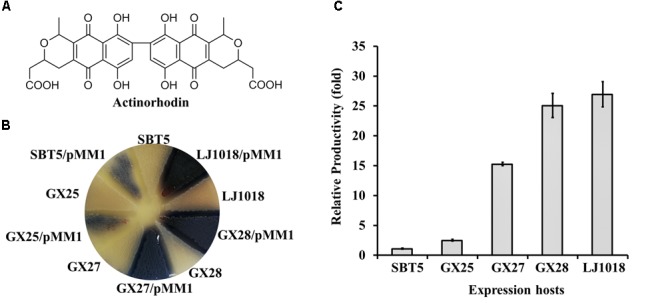 FIGURE 2