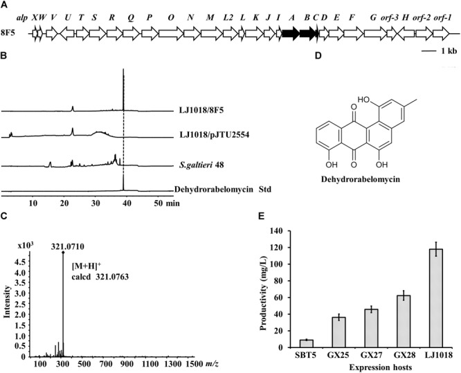 FIGURE 6