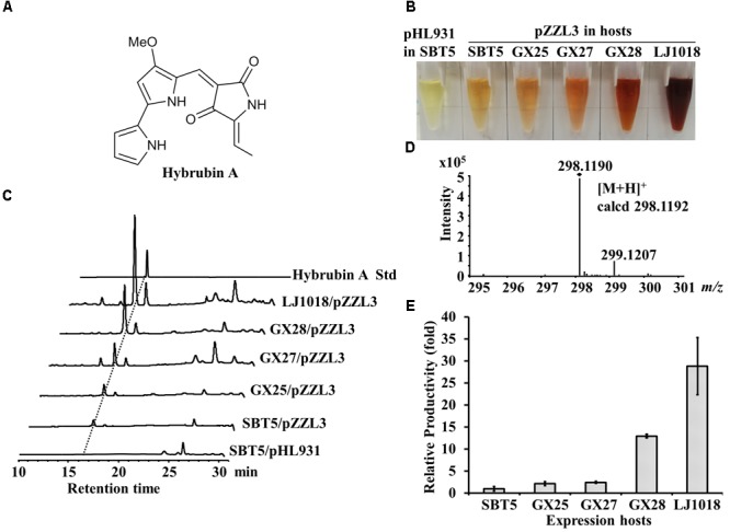 FIGURE 4