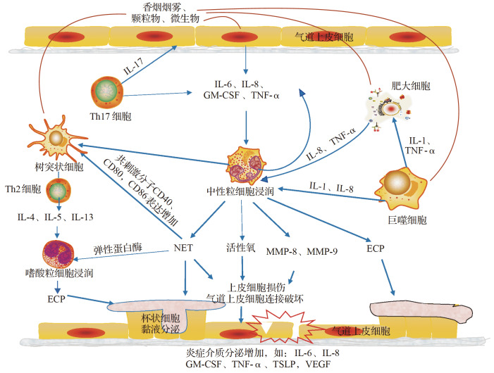 
图 1
