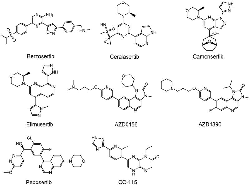 Figure 6.