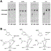 Figure 6: