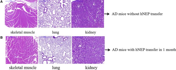 Figure 6