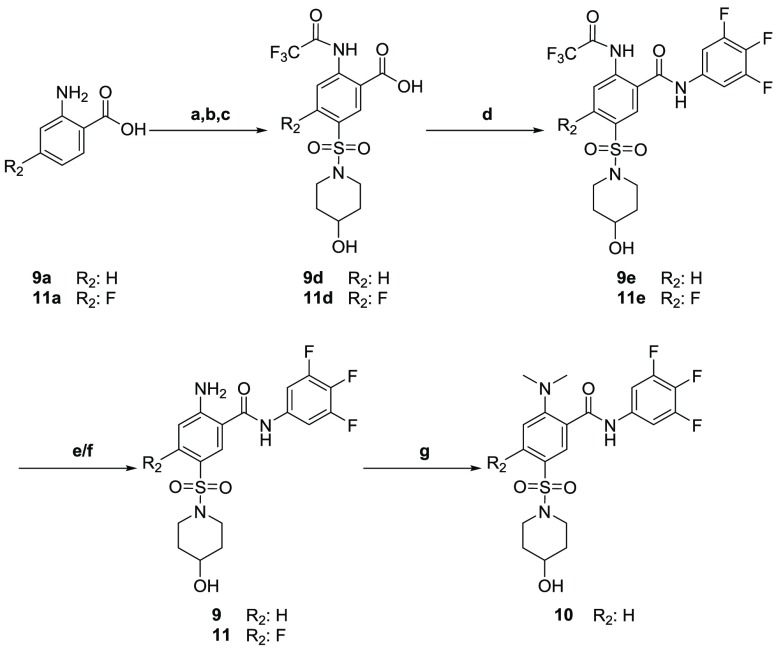 Scheme 2