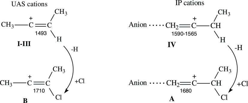 Scheme 4