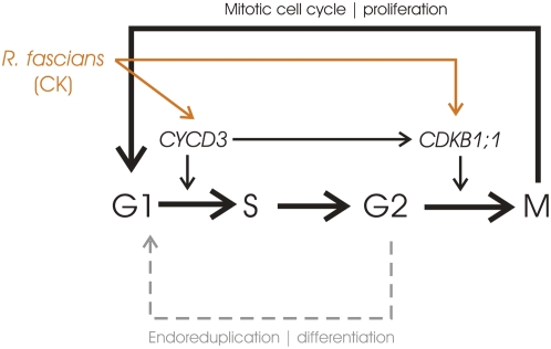 Figure 9.