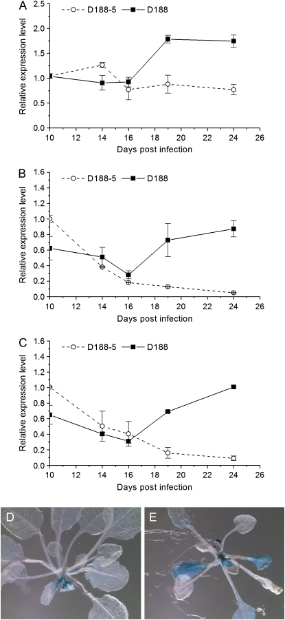 Figure 5.